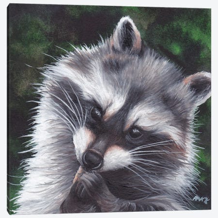 Raccoon Canvas Print #KKD83} by KAK Art & Designs Art Print
