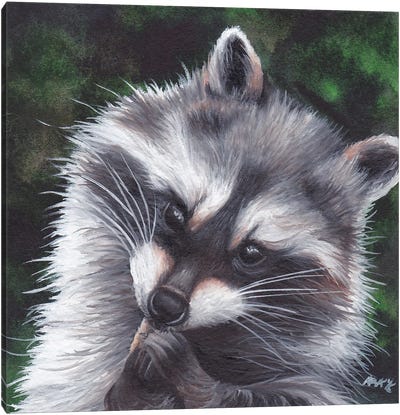 Raccoon Canvas Art Print - KAK Art & Designs