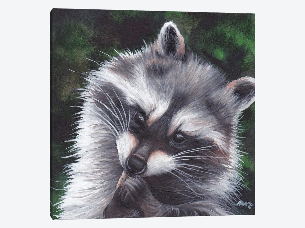 Raccoon by KAK Art & Designs 1-piece Canvas Art Print