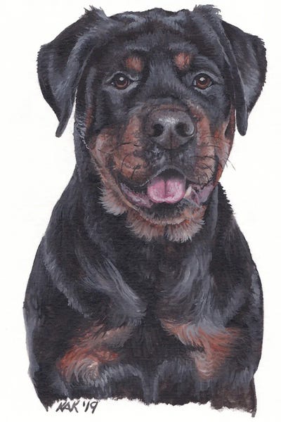 Rottweiler by KAK Art & Designs framed wall art