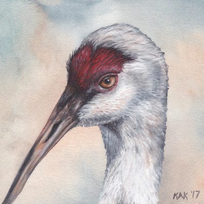 Sandhill Crane by KAK Art & Designs metal wall art