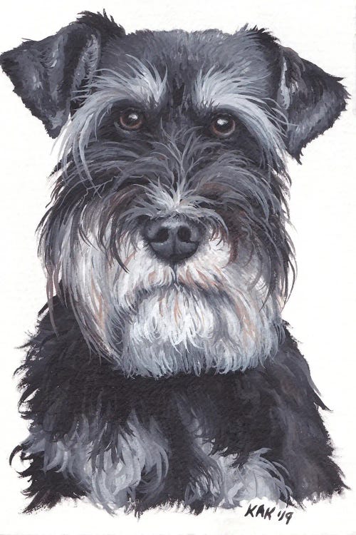 Schnauzer