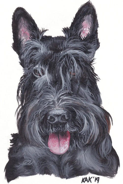 Scottish Terrier