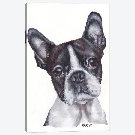 Boston Terrier Canvas Print #KKD8} by KAK Art & Designs Canvas Art Print