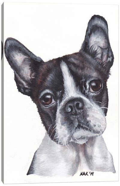 Boston Terrier Canvas Art Print - KAK Art & Designs