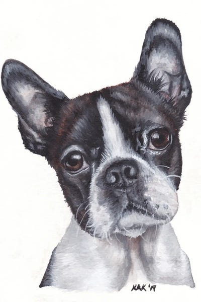Terriers: Boston Terrier by KAK Art & Designs