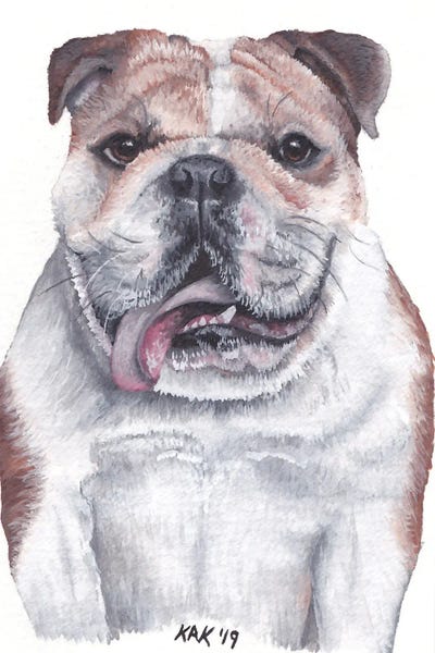 Bulldog by KAK Art & Designs canvas print