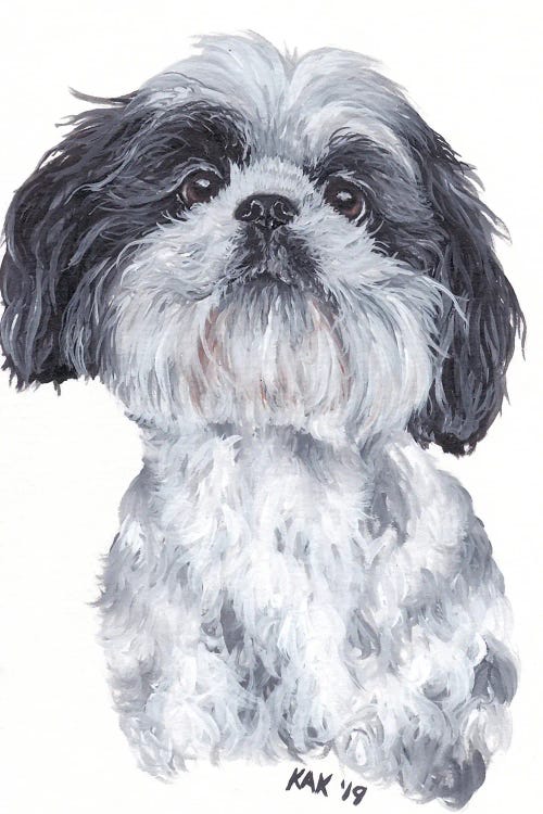 Shih Tzu by KAK Art & Designs wall art