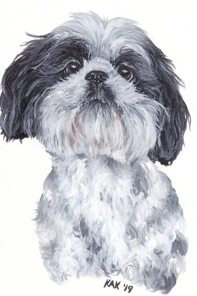 Shih Tzus: Shih Tzu by KAK Art & Designs