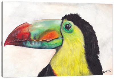 Toucan Canvas Art Print - KAK Art & Designs