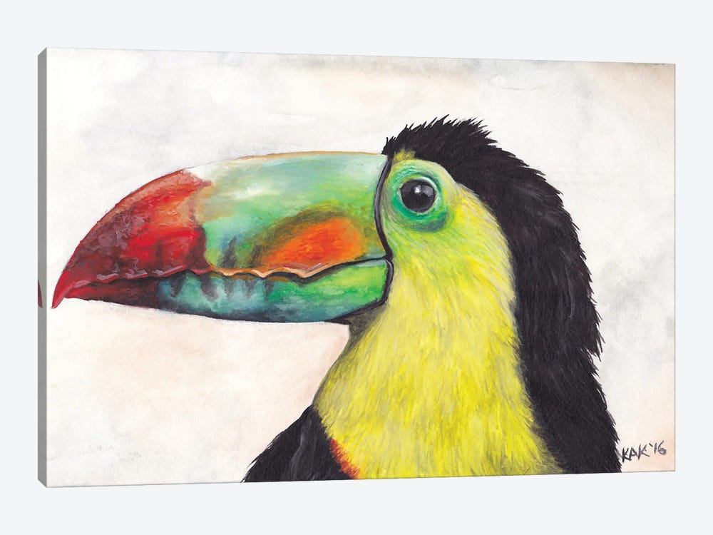 Toucan by KAK Art & Designs 1-piece Canvas Artwork