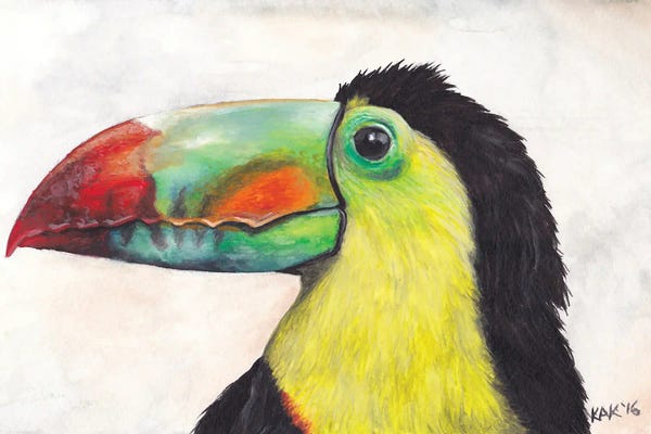 KAK Art & Designs: Toucan by KAK Art & Designs