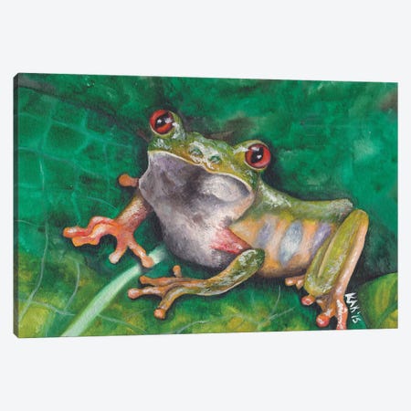Tree Frog II Canvas Print #KKD94} by KAK Art & Designs Art Print