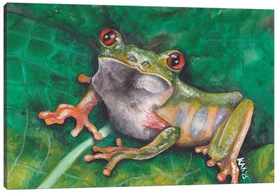 Tree Frog II Canvas Art Print - KAK Art & Designs