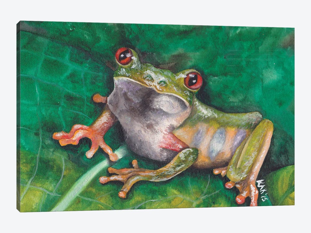 Tree Frog II by KAK Art & Designs 1-piece Canvas Art Print