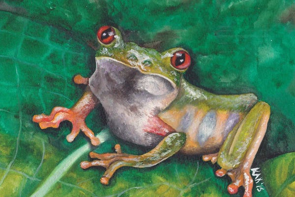 Reptiles & Amphibians: Tree Frog II by KAK Art & Designs