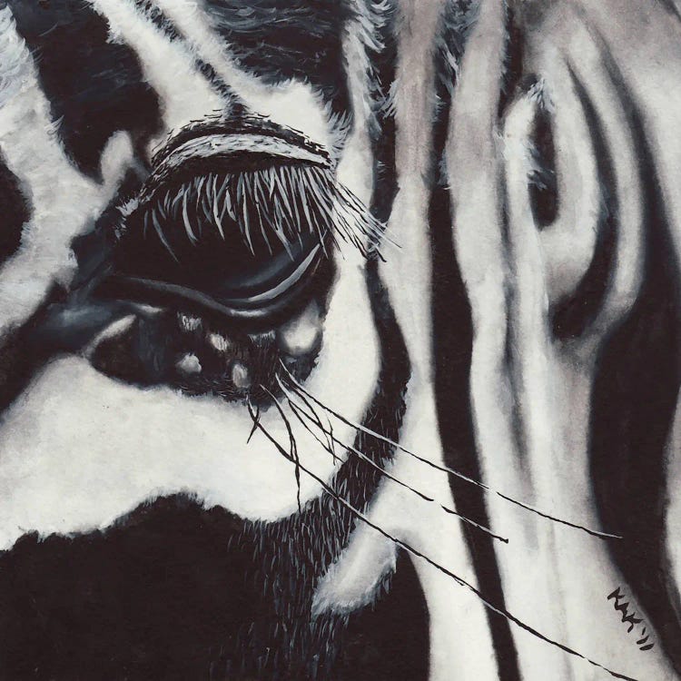 Zebra Eye