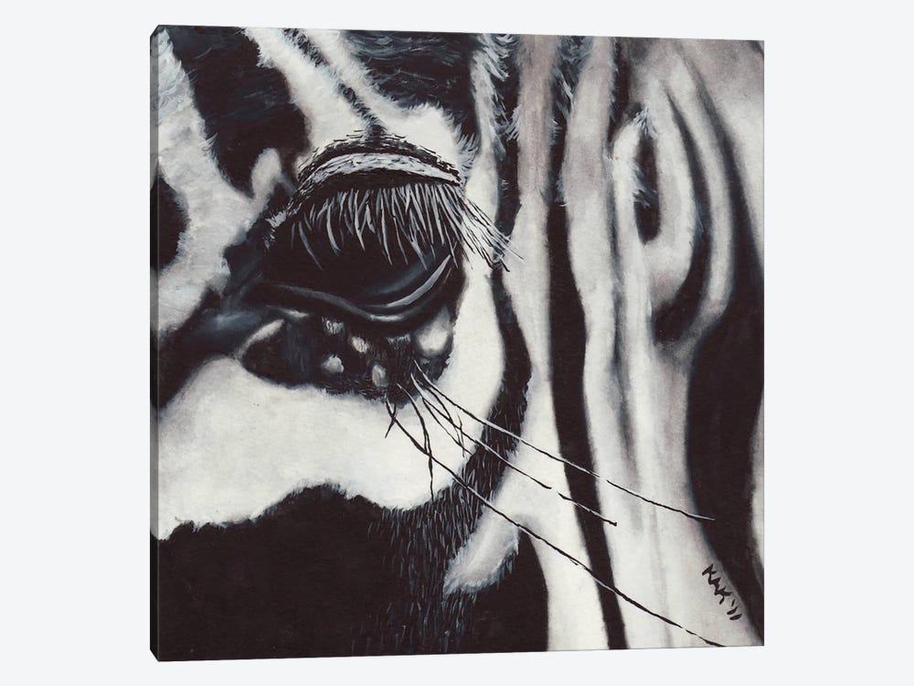 Zebra Eye by KAK Art & Designs 1-piece Canvas Wall Art
