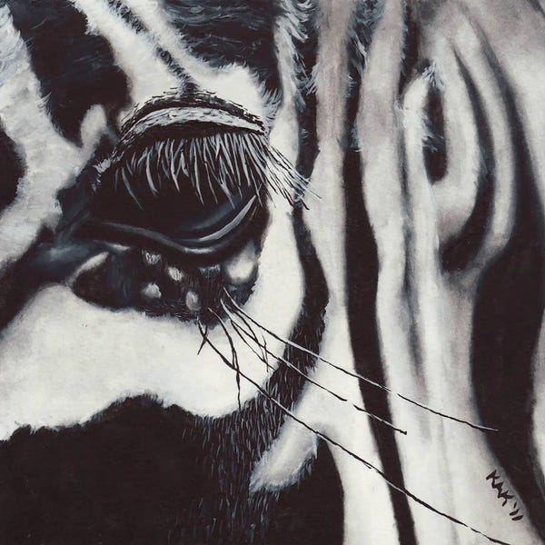 Zebras: Zebra Eye by KAK Art & Designs