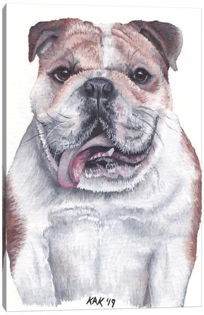 Bulldog Canvas Art Print - KAK Art & Designs