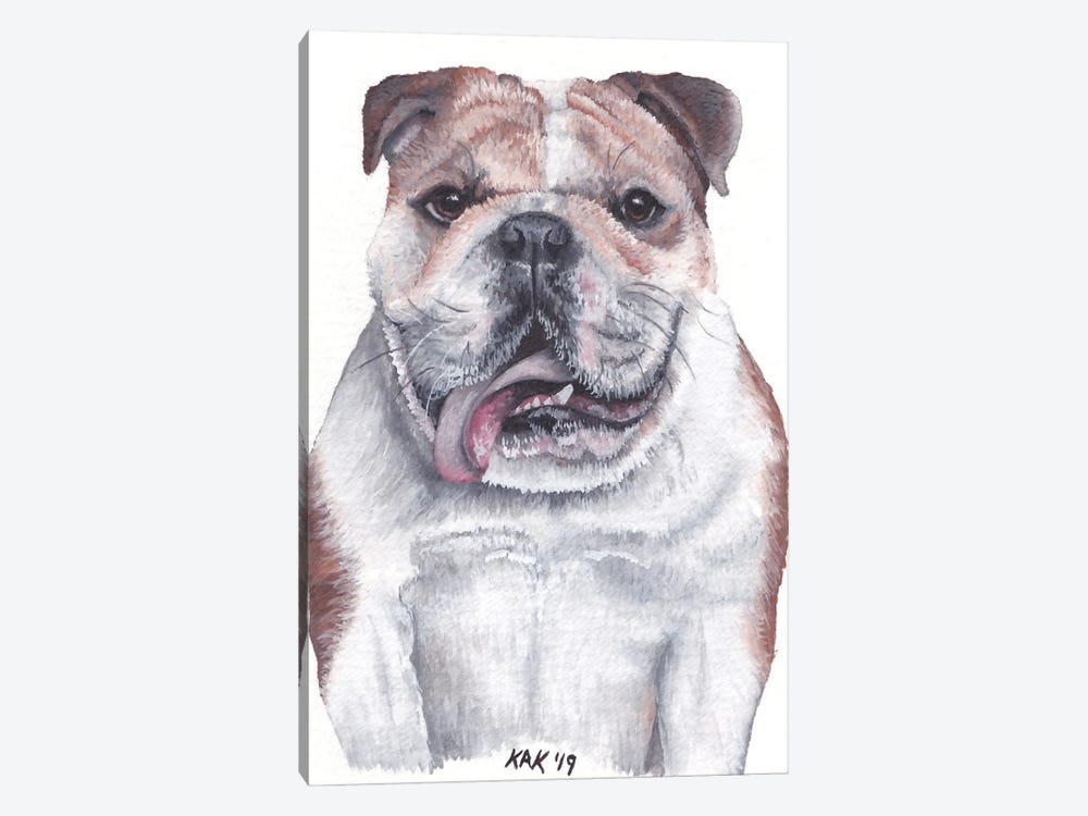 Bulldog by KAK Art & Designs 1-piece Canvas Art