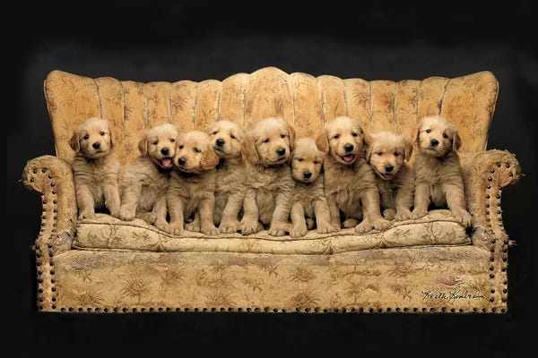 Puppies: Gang's All Here II by Keith Kimberlin