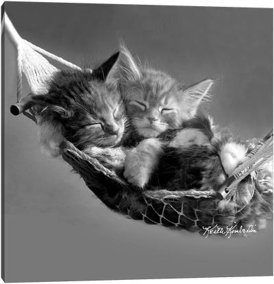 Kits in Hammock Canvas Art Print - Art that Moves You