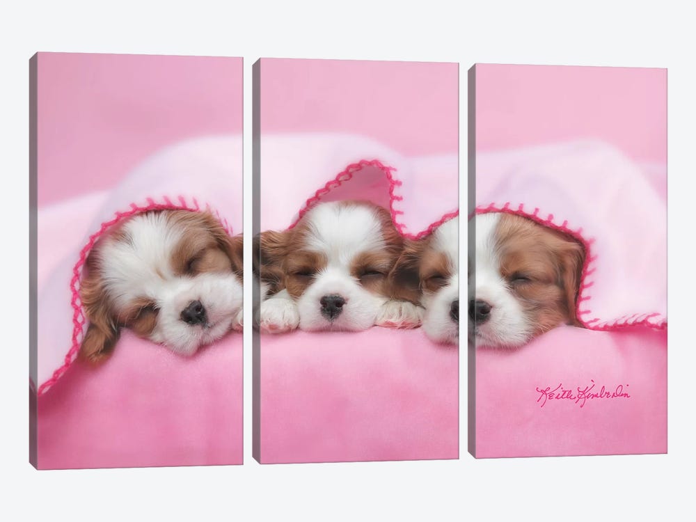 Peas In A Pod by Keith Kimberlin 3-piece Canvas Wall Art