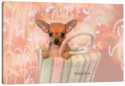 Peek-A-Boo Canvas Art Print - Chihuahua Art
