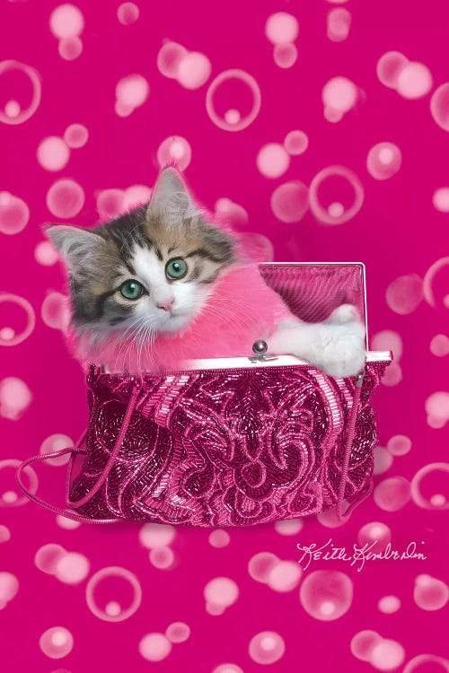 Precious by Keith Kimberlin wall art