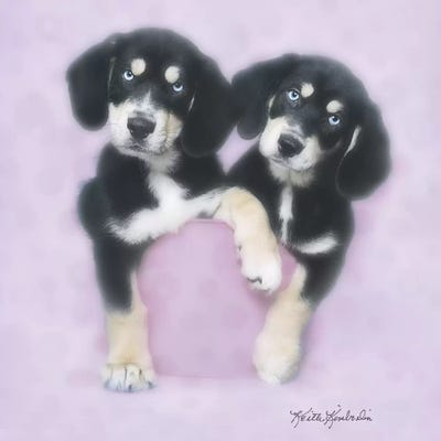 Pretty in Pink by Keith Kimberlin canvas print