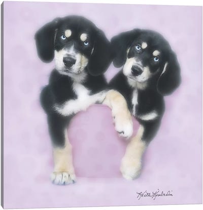 Pretty in Pink Canvas Art Print - Puppy Art