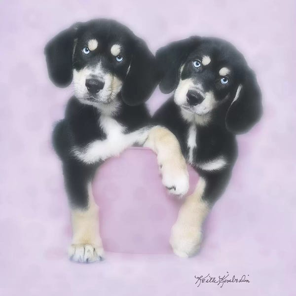 Keith Kimberlin: Pretty in Pink by Keith Kimberlin