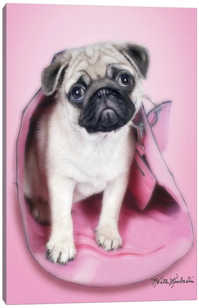 Pug In A Purse Canvas Art Print - Dog Photography