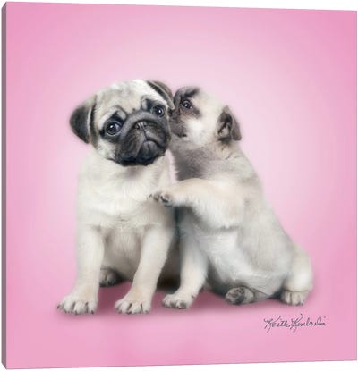 Secret Canvas Art Print - Puppy Art