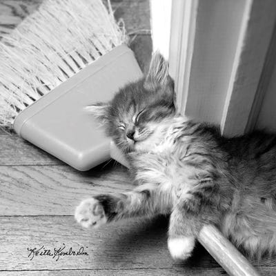 Spring Cleaning by Keith Kimberlin art print