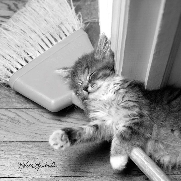 Spring Cleaning by Keith Kimberlin wall art