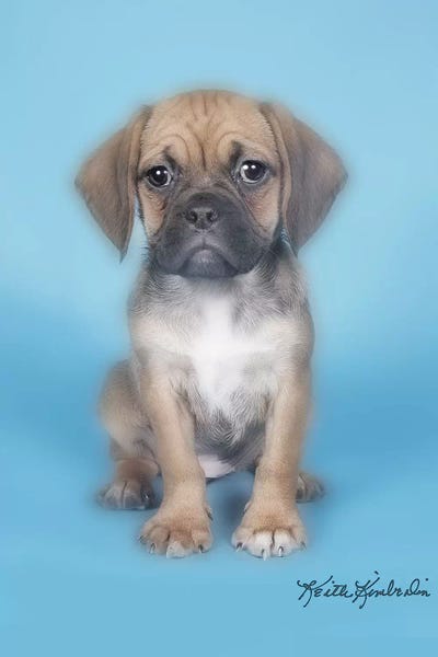 Keith Kimberlin: Sushi Roll by Keith Kimberlin