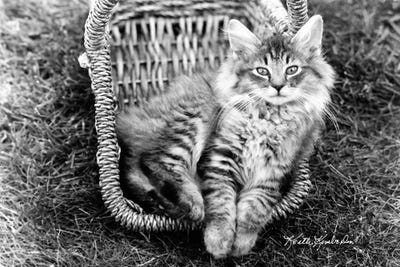 Taryn by Keith Kimberlin art print