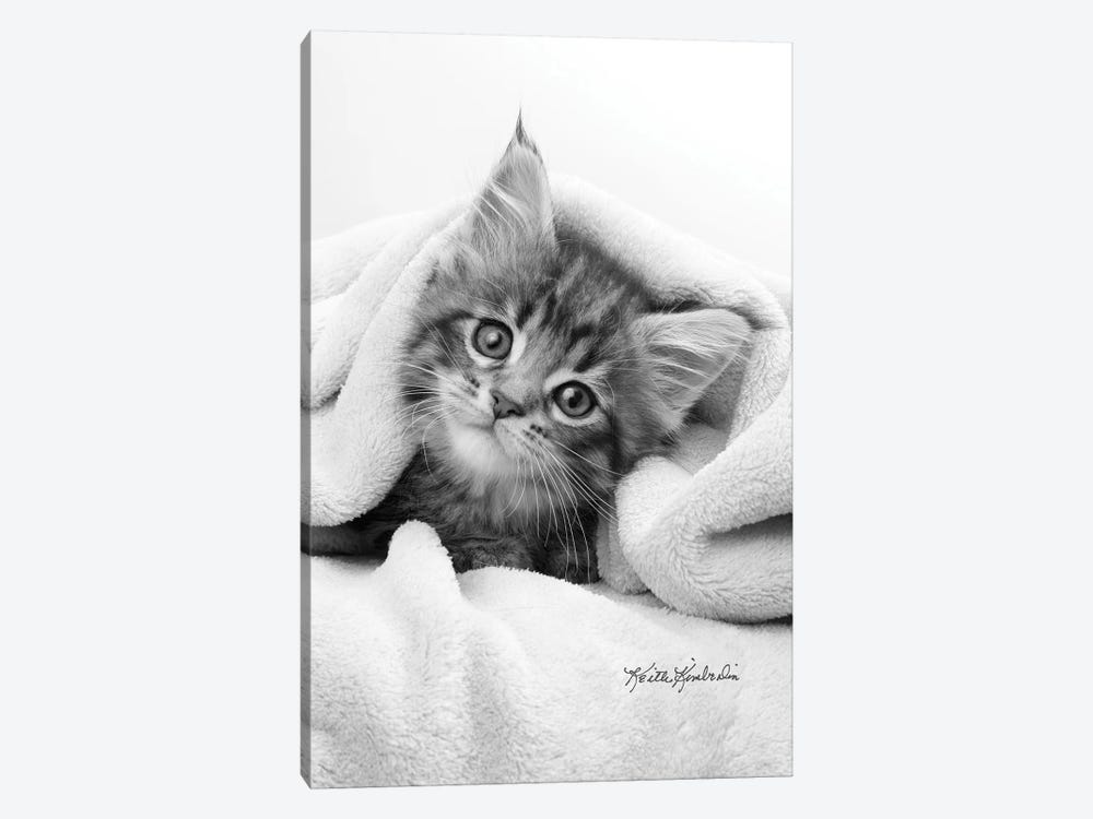 Bug In A Rug by Keith Kimberlin 1-piece Canvas Print