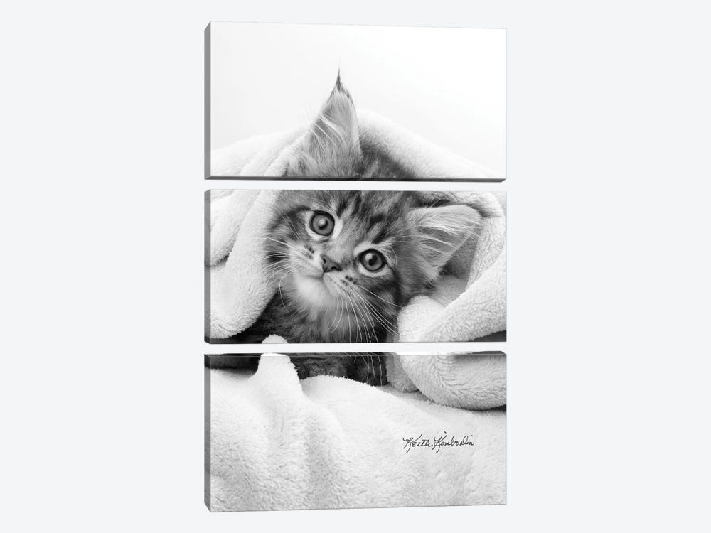 Bug In A Rug by Keith Kimberlin 3-piece Canvas Art Print