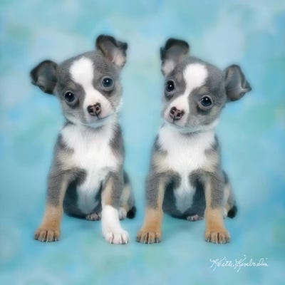 Twinning by Keith Kimberlin canvas print