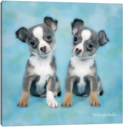 Twinning Canvas Art Print - Puppy Art