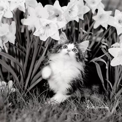 Wanderlust by Keith Kimberlin art print