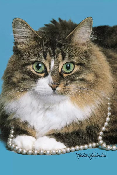 Keith Kimberlin: Clutching My Pearls by Keith Kimberlin