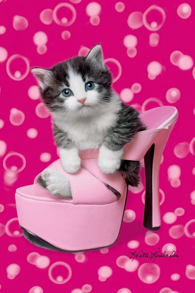 Do These Come in Another Size? by Keith Kimberlin art print