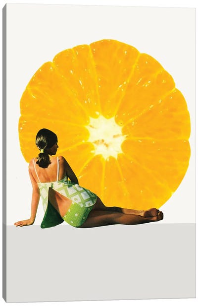 Sun Bathing Canvas Art Print - Orange Art