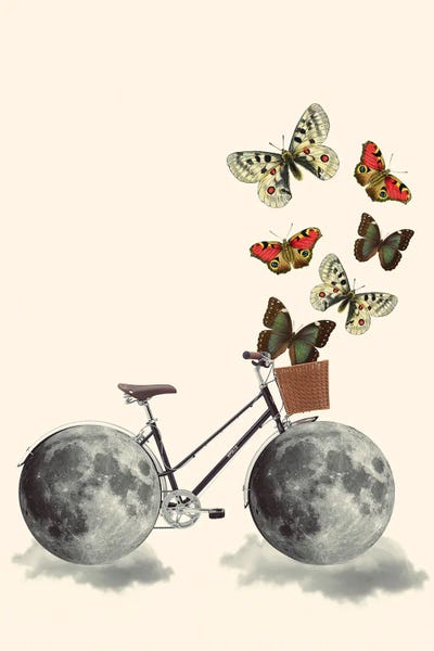 Take A Ride by Kiki C Landon framed wall art