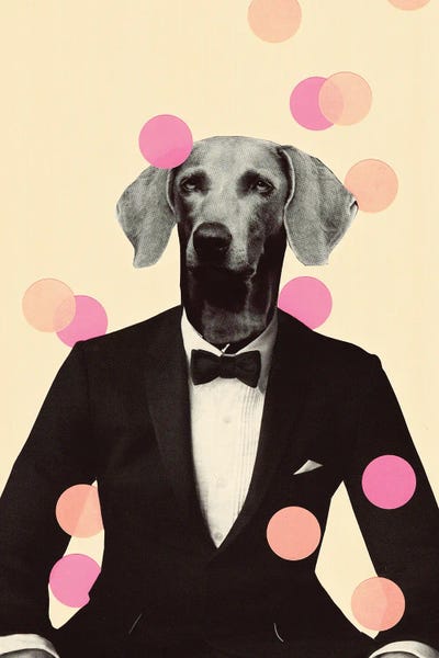 Dog Photography: Tenue De Soirée by Kiki C Landon