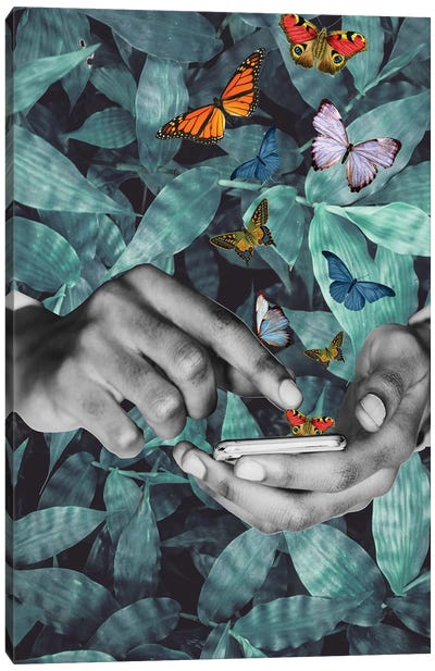 Believe In Your Magic Canvas Art Print - Monarch Butterflies
